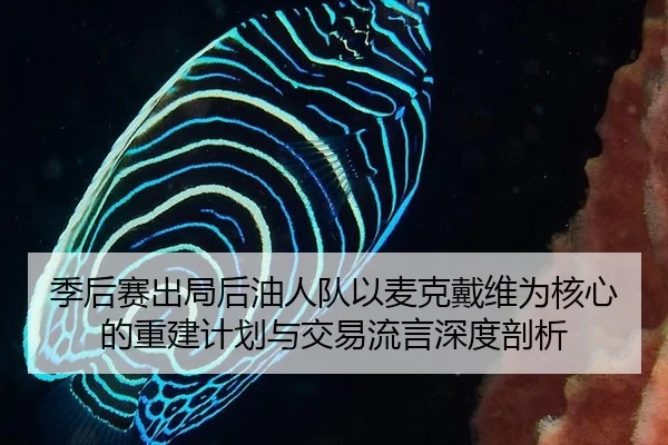 ji-hou-sai-chu-ju-hou-you-ren-dui-yi-mai-ke-dai-wei-wei-he-xin-de-chong-jian-ji-hua-yu-jiao-yi-liu-yan-shen-du-pou-xi-2-216.jpg