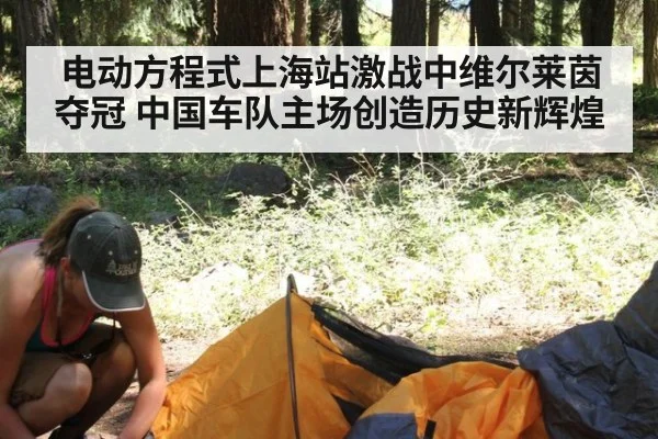 电动方程式上海站激战中维尔莱茵夺冠 中国车队主场创造历史新辉煌